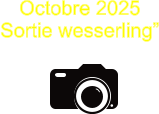 Octobre 2025 Sortie wesserling”